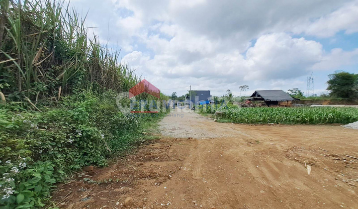 Tanah Strategis Dekat Pesantren & Taman Edukasi Tajinan Cocok Rumah, Kantor, atau Kebun Tanah Strategis Dekat Pesantren & Taman Edukasi Tajinan Cocok Rumah, Kantor, atau Kebun