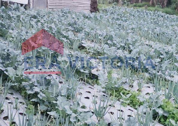 Tanah View Alam Lokasi Favorit Wisatawan Cocok untuk Bisnis  1