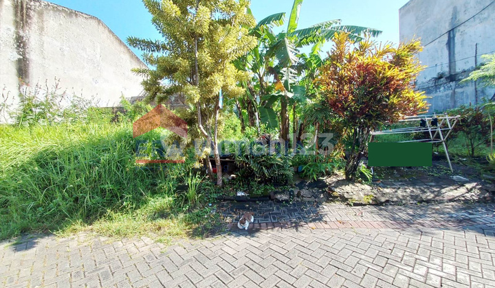 Tanah Kavling Strategis Dekat Yonkav & Pergudangan Singosari Cocok untuk Rumah Tinggal Tanah Kavling Strategis Dekat Yonkav & Pergudangan Singosari Cocok untuk Rumah Tinggal