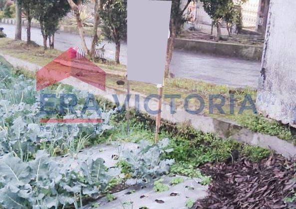 Tanah View Alam Lokasi Favorit Wisatawan Cocok untuk Bisnis  2