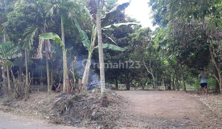 Lahan Kebun Sepang Sayar Dekat Alun alun Dan Perumahan 3