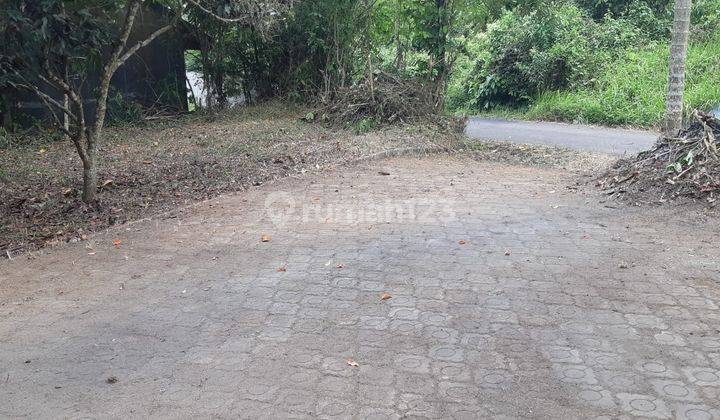 Lahan Kebun Sepang Sayar Dekat Alun alun Dan Perumahan 4
