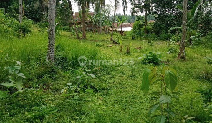 Tanah Kebun Karangasem Taktakan Cocok Untuk Investasi 1