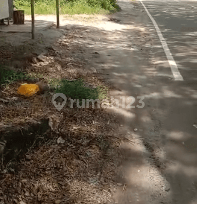 Lahan Oke Kamasan Anyer Sirih Jalan Utama 1