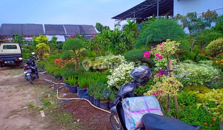 Tanah Strategis Cinanggung Tripjamaksari 4