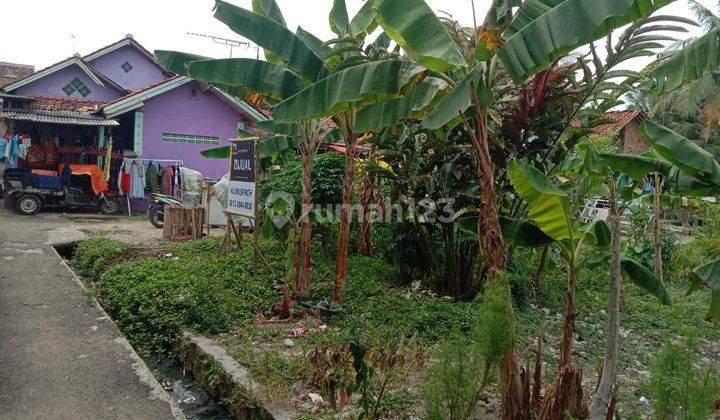 Lahan Kaujon Depan Upi Serang 1 Hektar 5
