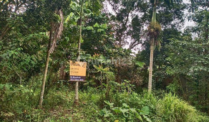 Lahan Kebun Sepang Sayar Dekat Alun alun Dan Perumahan