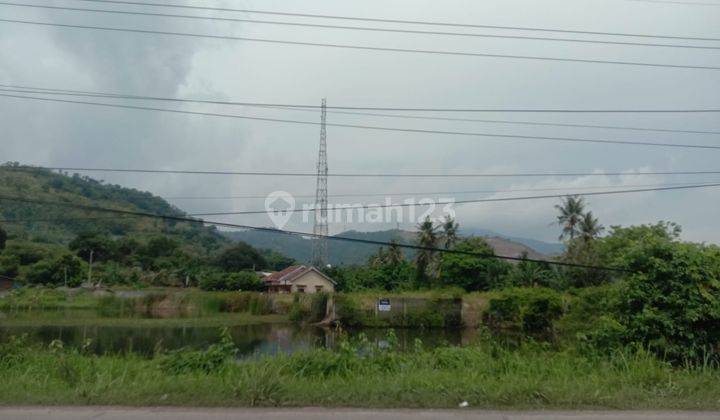 Tanah Jalan Raya Bojonegara Dekat Kawasan Industri 4