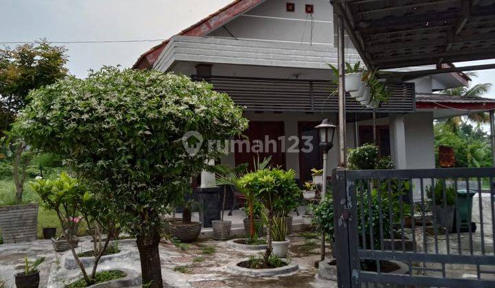 Tanah Plus Hunian 1 Lantai Penancangan Serang Timur Bisa Sewa 2