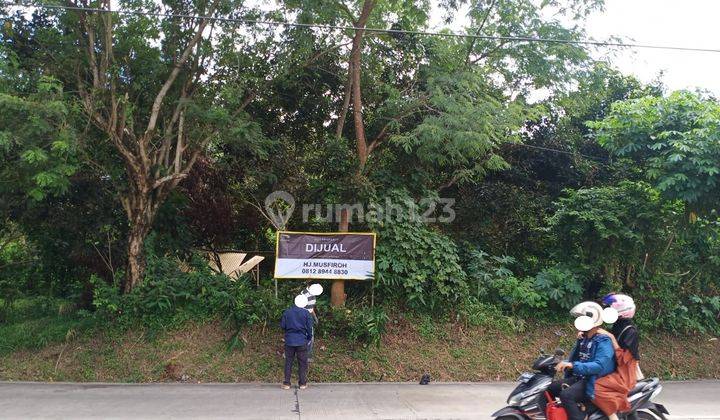 Tanah Jalan Utama Cilowong Taktakan Bisa Disewa 1