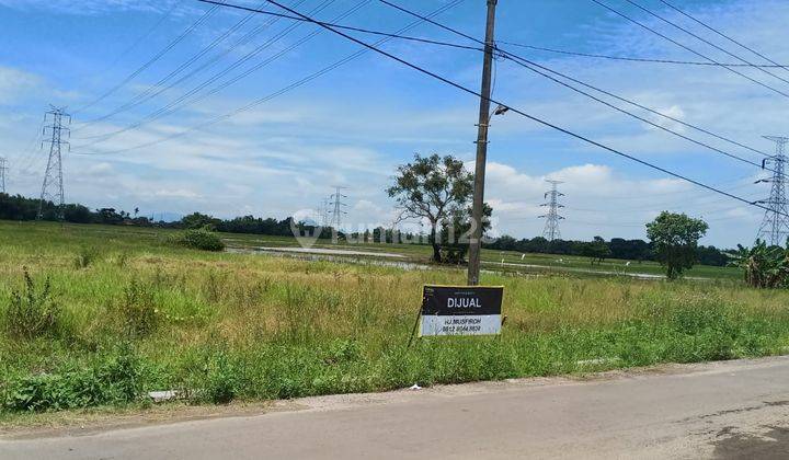 Tanah Sawah Jalan Utama Pakupatan Serang Dekat Tol 1