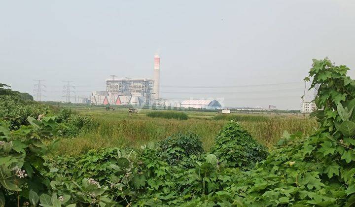 Tanah Dua Muka Kawasan Industri Wilmar Bojonegara 5