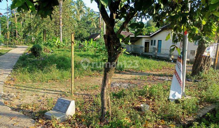 Tanah Malingping Nempel Jalan Utama Nego 2