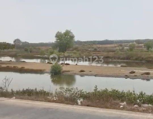 Tanah 6 Hektar Sawah Luhur Nego Sampai Deal 1