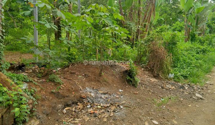 Tanah Luas Kp Cisangku Curug Manis Dekat Uin 2