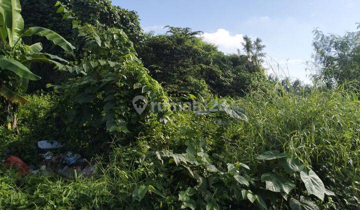 Tanah Kavling Ada 4 Unit Dekat Rs Polda Banten 2