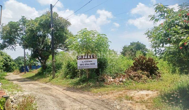 Tanah Luas Datar Serang Barat Kasemen Nego Halus 1