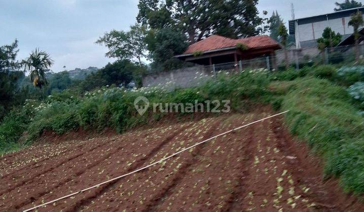 Tanah Datar Dekat Pemkot Bandung Sedang Bu 2