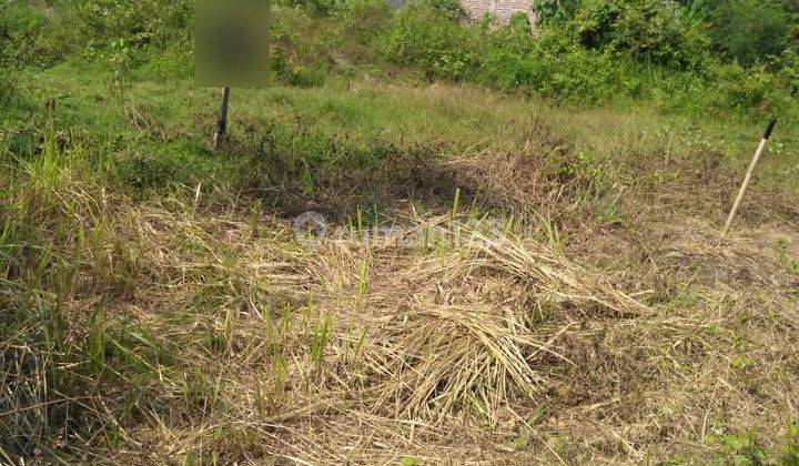 Tanah Kavling Belakang Sd Kuranji Dekat Alun Alun 1