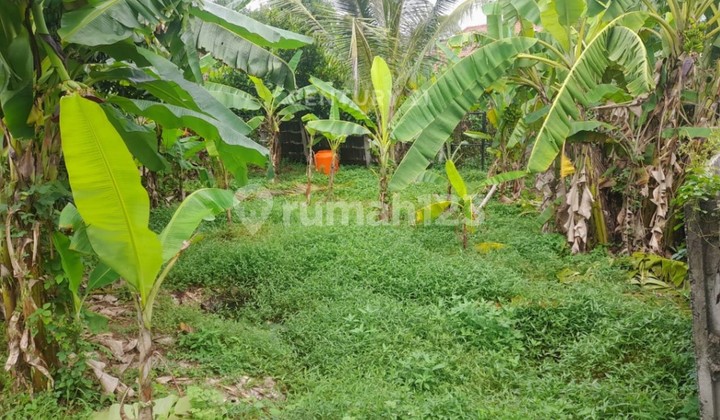 Pejaten Mas Estate Land Plot Negotiable