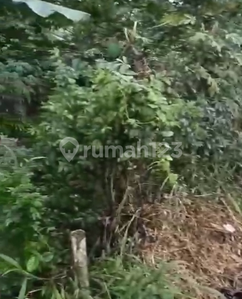 Tanah Jalan Utama Ds Jakung Taktakan Nego Halus Tanah Jalan Utama Ds Jakung Taktakan Nego Halus