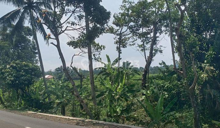 Tanah Jalan Raya Pandeglang Nego Sampai Deal 2