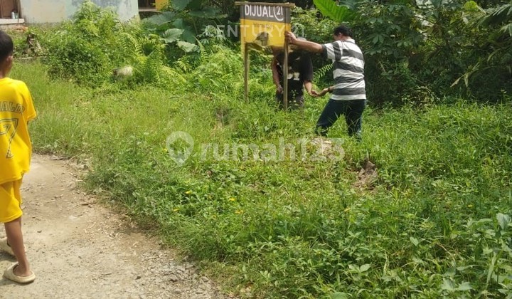Tanah Padarincang Dekat Untirta Nego Sampai Jadi