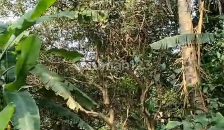 Flat Land Sweet Waterfall Negotiable Until Deal