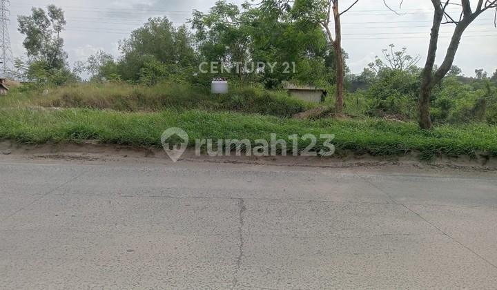 Tanah Lingkar Selatan Ciwandan Nego Halus