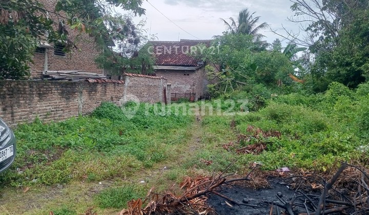 Tanah Drangong Taktakan Nego Sampai Deal Tanah Drangong Taktakan Nego Sampai Deal