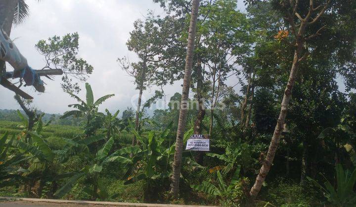 Tanah Jalan Raya Pandeglang Nego Sampai Deal 1