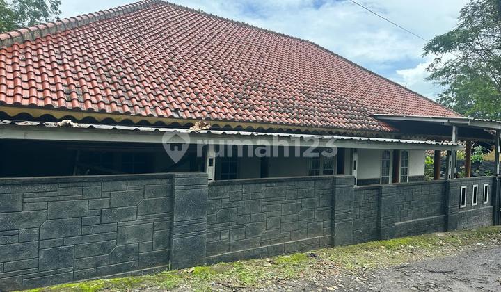 Good Residence Cipeucang Pandeglang Scenic Atmosphere