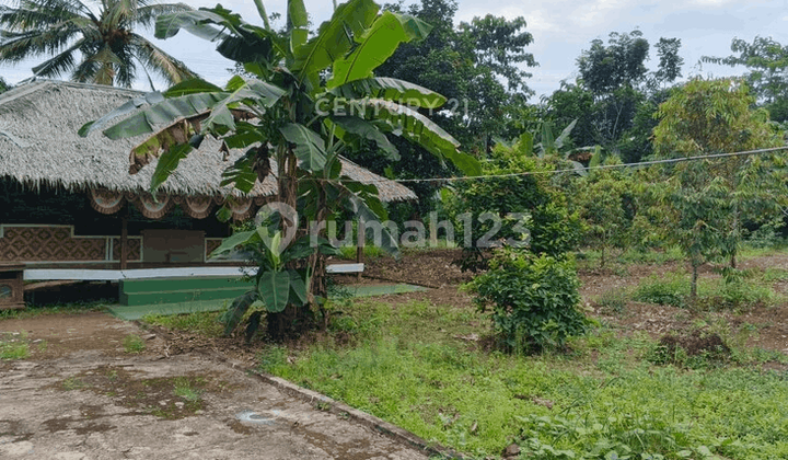 Tanah Kebun Jl Jagarahayu Ciracas Nego Sampai Deal