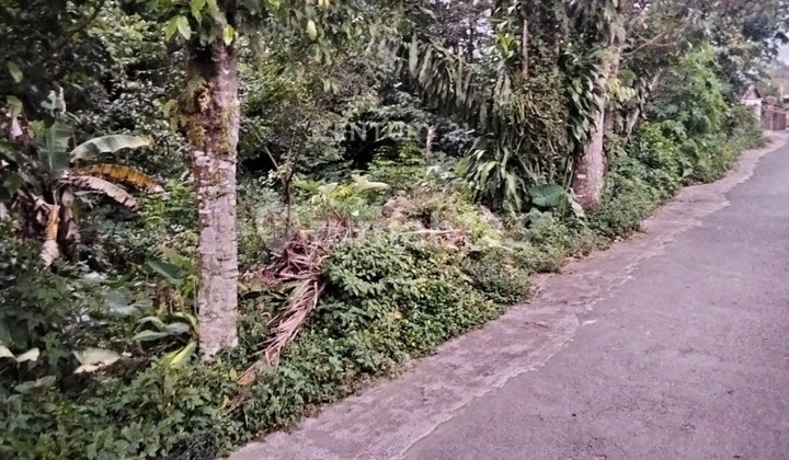 Strategic Multifunctional Land in Umbulharjo Village, Sleman