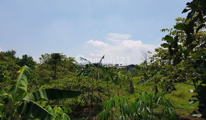 Dijual tanah padat kebun, bagus, strategis utk investasi. Lokasi kopo Katapang belakang Borma. Kedepannya akan menjadi mainroad akses keluar pintu tol. Sudah dibenteng dan sudah SHM. 3