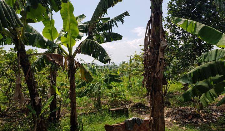 Dijual tanah padat kebun, bagus, strategis utk investasi. Lokasi kopo Katapang belakang Borma. Kedepannya akan menjadi mainroad akses keluar pintu tol. Sudah dibenteng dan sudah SHM. 5