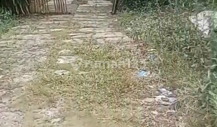 Premium Land for Sale on the Main Roadside in Parung Bogor, Suitable for Factories, Housing, Hospitals, etc. Premium Land for Sale on the Main Roadside in Parung Bogor, Suitable for Factories, Housing, Hospitals, etc.