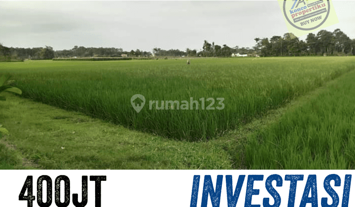 Tanah Murah Lumajang Yosowilangun 1