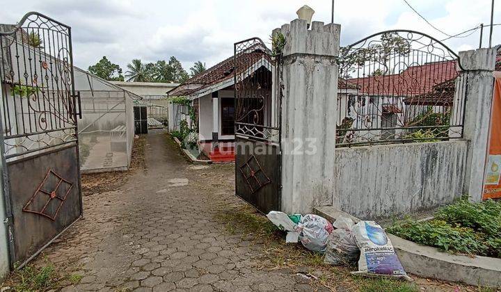 Dijual Lahan Luas Dan Bangunan di Kalibaru Jawa Timur 1