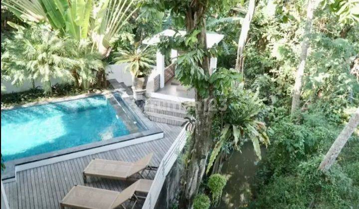 CANGGU, COZY CHEAP VILLA READY TO LIVE IN, BALI 1