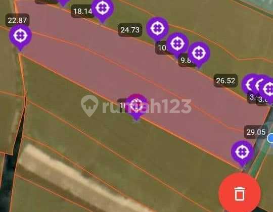 Tanah Jual Lokasi Munggu Tanah Jual Lokasi Munggu