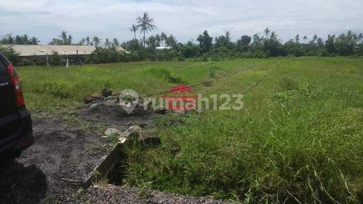 Tanah Jual Lokasi Munggu