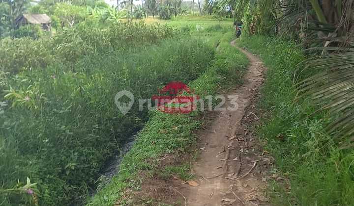 Land for Sale Location Temesi Land for Sale Location Temesi