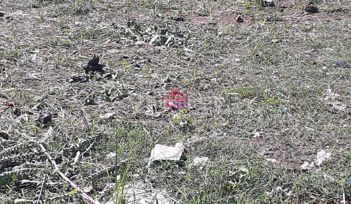 Tanah Jual Lokasi Suwung 1