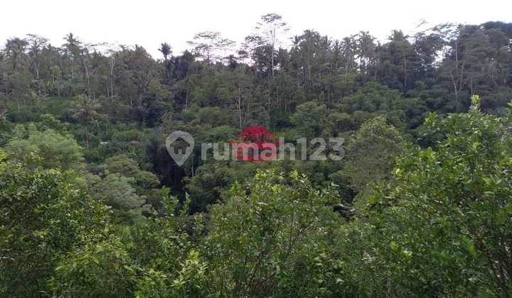 Tanah Jual Lokasi Tegallalang