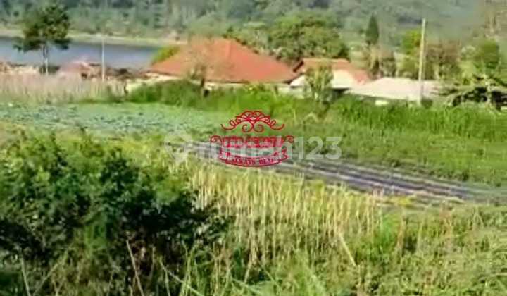 Land for Sale Location Pancasari