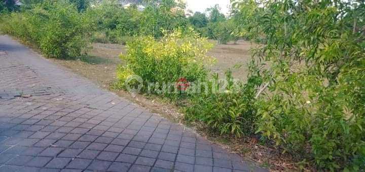 Tanah Jual Lokasi Ungasan Tanah Jual Lokasi Ungasan