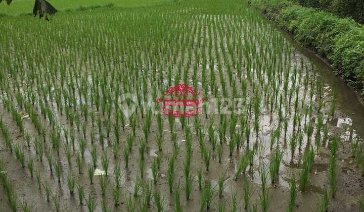 Tanah Jual Lokasi Sayan