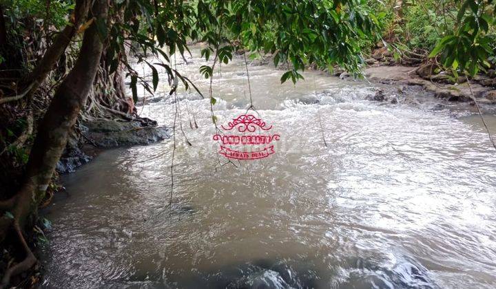 Tanah Sewa Lokasi Pererenan 3