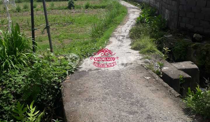 Land for Sale Location Padang Galak